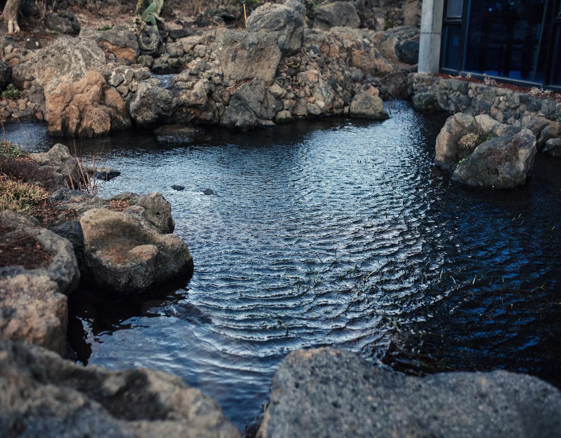 Jeju Feel Pension Exterior photo